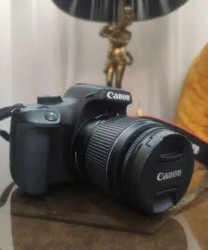 stock