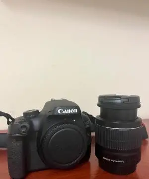stock