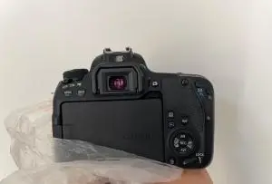 stock