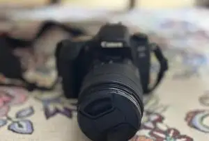 stock