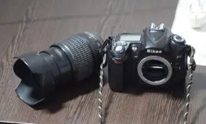 stock