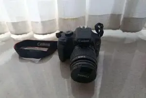 stock