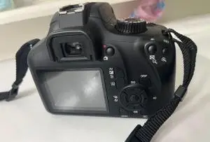 stock