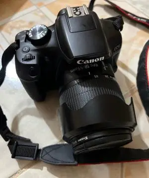 stock