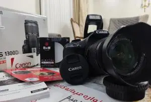 stock
