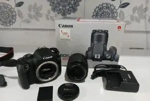 stock