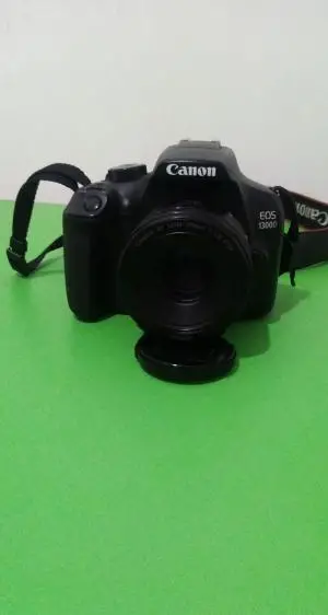 stock