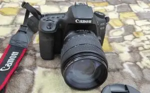 stock