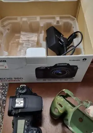 stock