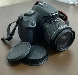 stock