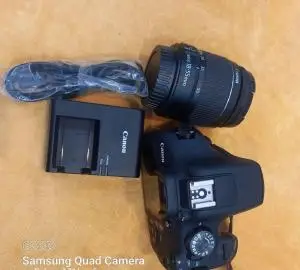 stock