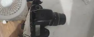 stock