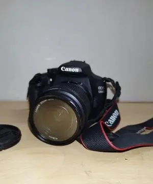 stock