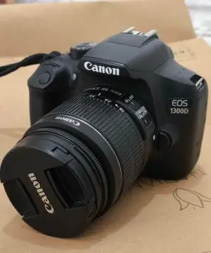 stock