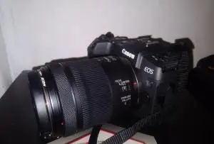 stock