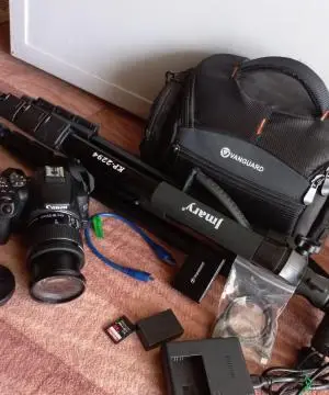 stock