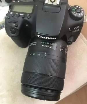 stock