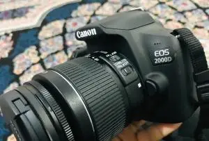 stock