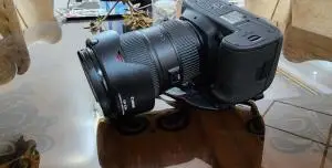 stock