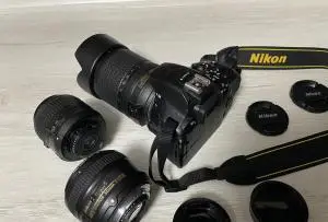 stock