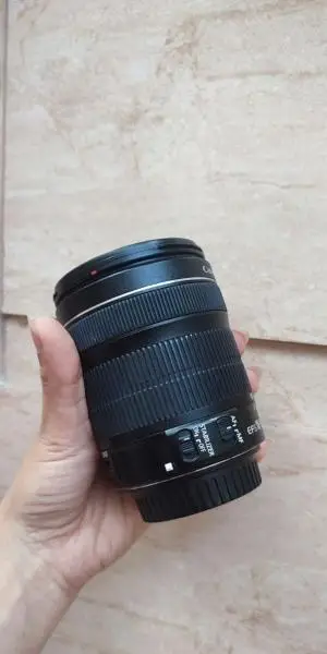 stock