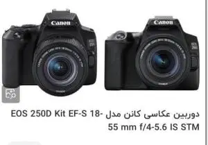 stock