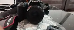 stock