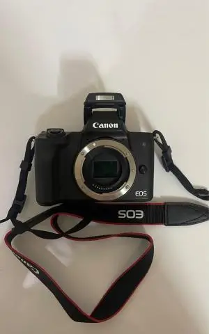 stock