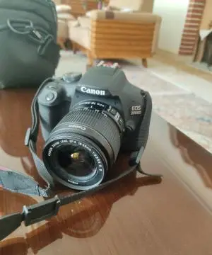 stock
