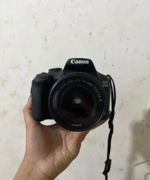 stock