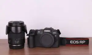 stock