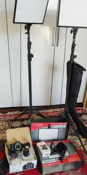 stock