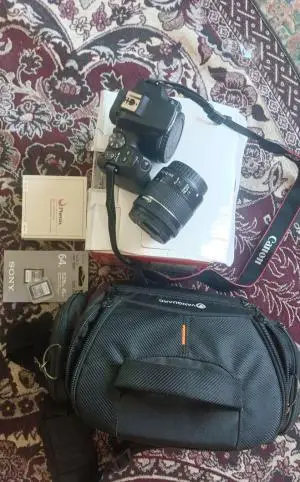 stock