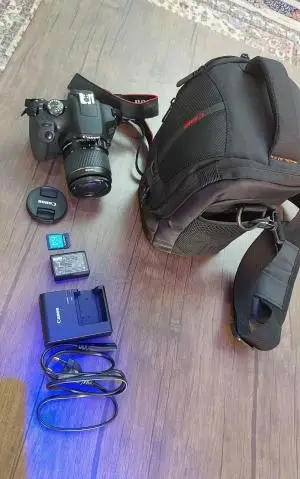stock