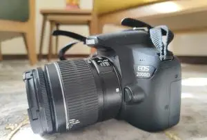 stock