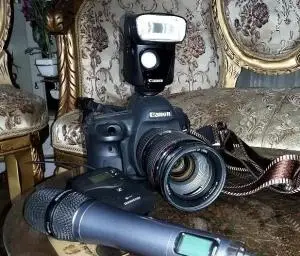 stock