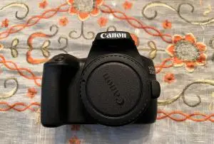stock
