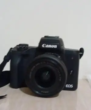 stock