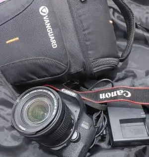 stock