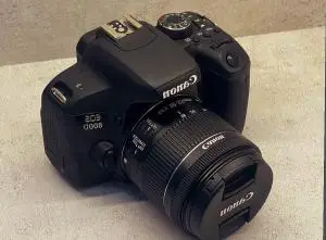 stock