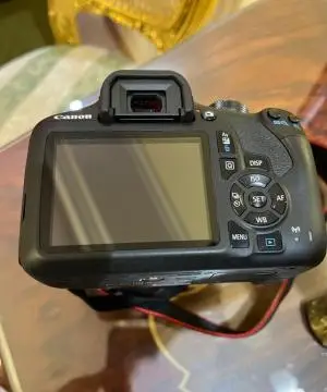 stock