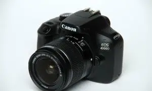 stock