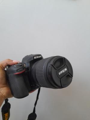 stock