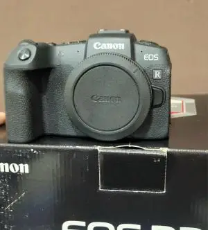 stock