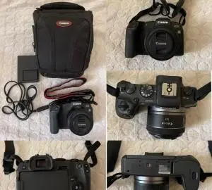 stock