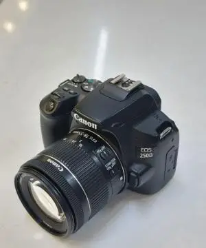 stock