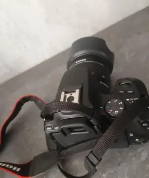 stock