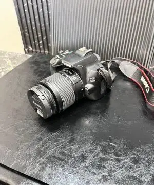 stock