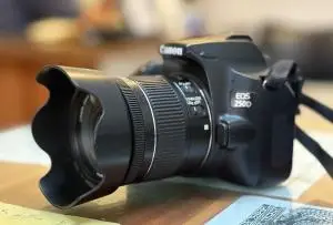 stock