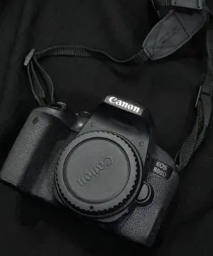stock